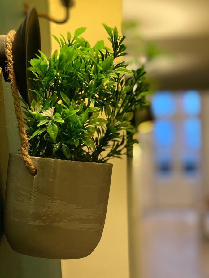 モントーバンLa Parenthese Gourmande Avec Clim Et Parkingアパートメント エクステリア 写真